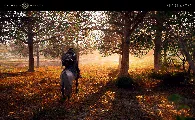 Crimson Desert: Digital Foundry analysiert PS5-Pro-Version