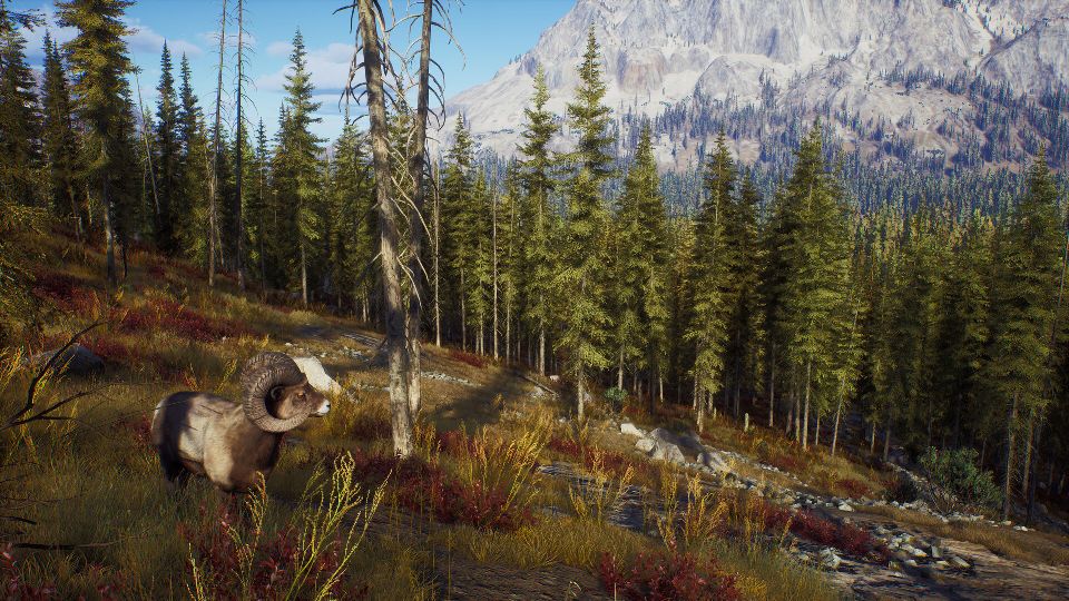 Way of the Hunter: Ab sofort wird in Wäldern Europas oder Nordamerikas gejagt