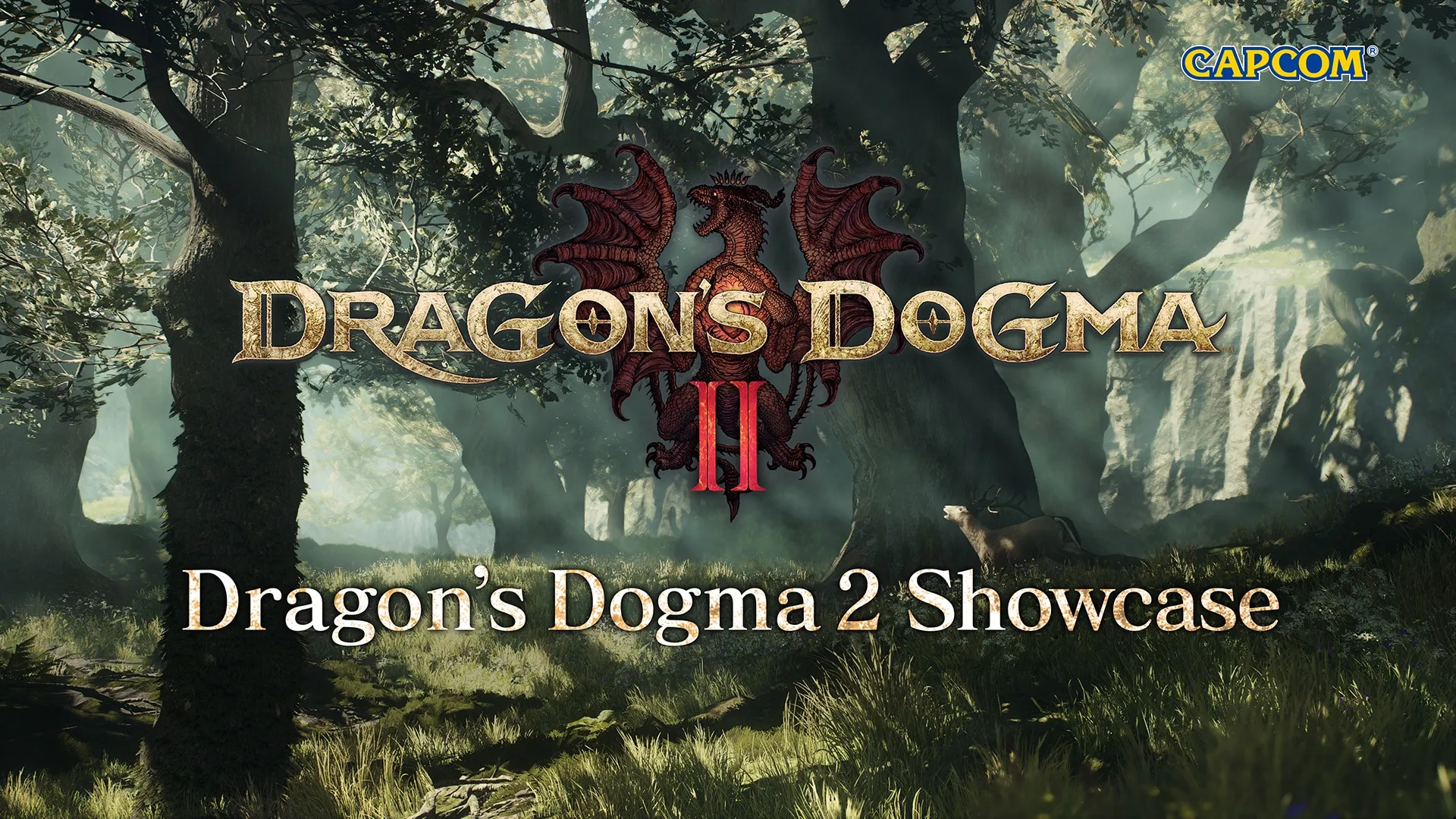 Showcase zu Dragon's Dogma 2 für den 28.11.2023 angekündigt Heropic