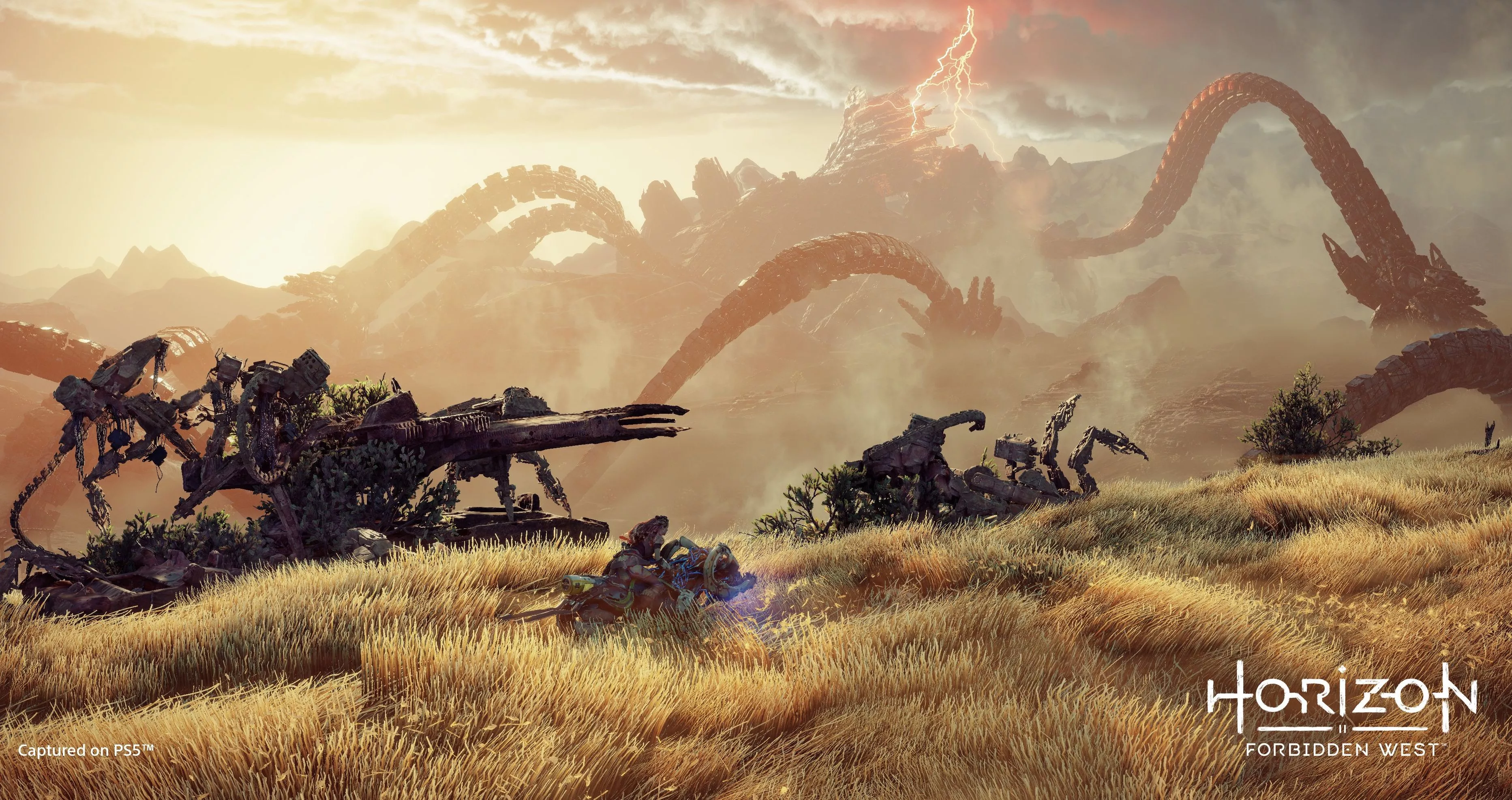 Horizon Forbidden West erscheint für den PC Heropic