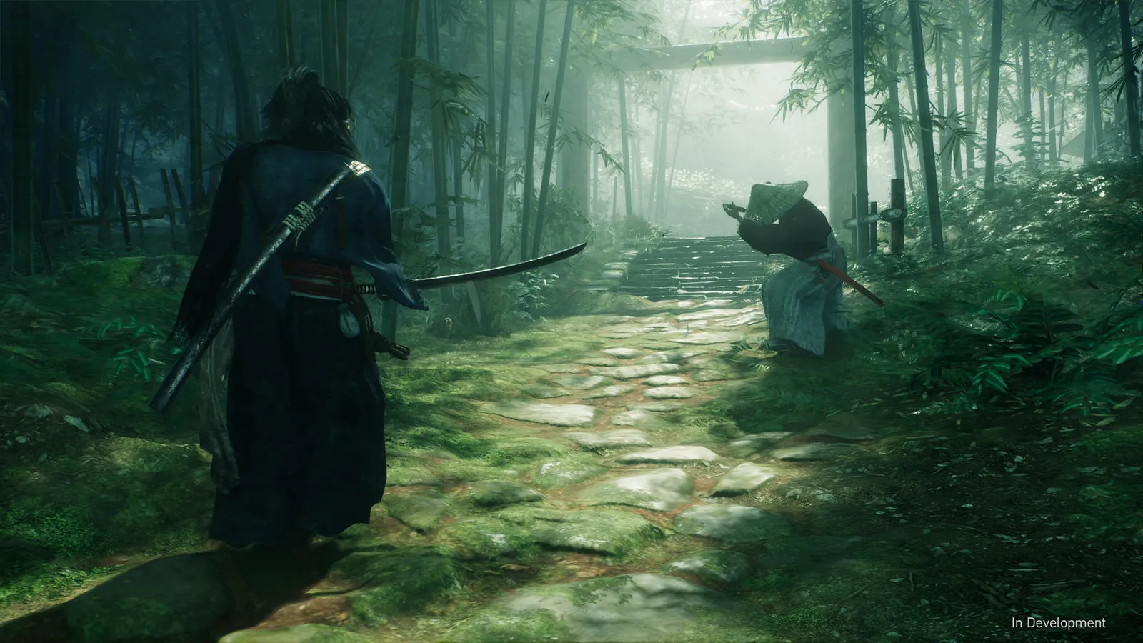 Rise of the Ronin: Launch-Trailer veröffentlicht Heropic